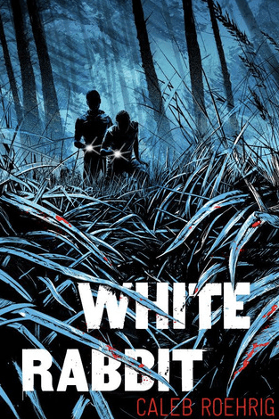 Screen Shot 2018-11-08 at 10.26.37 PM